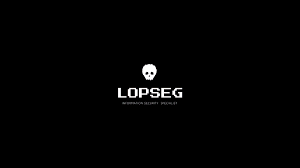 Lopseg- IP and Domain research